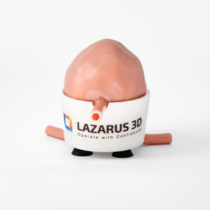Bladder Trainer Kit