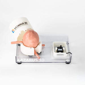 Bladder Trainer Kit With Irrigation