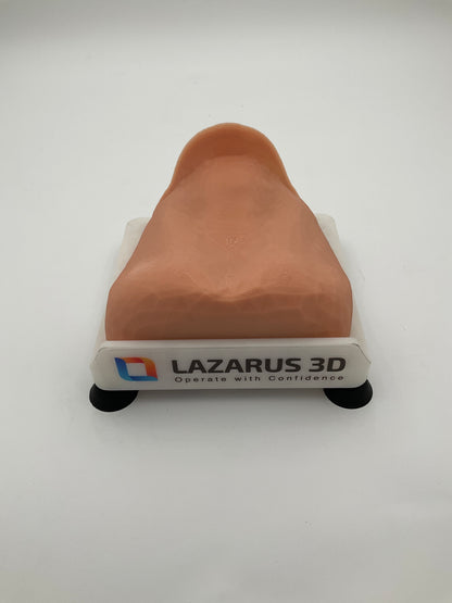 Thyroidectomy Trainer