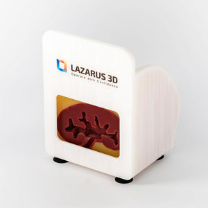 Supine/Flanked PCNL Trainer Kit