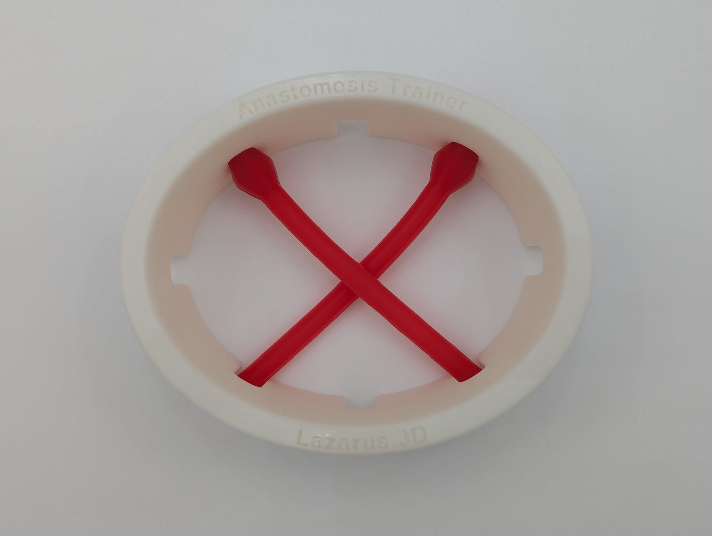 Anastomosis Trainer