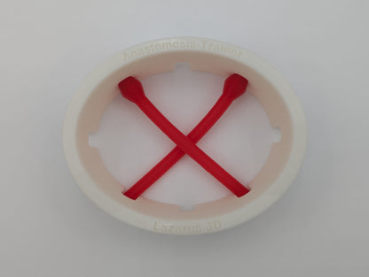 Anastomosis Trainer