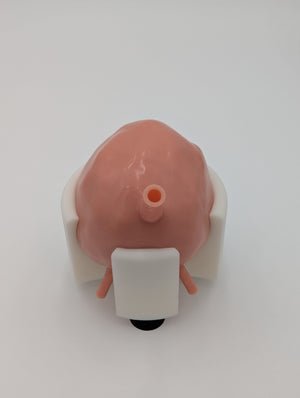 Bladder Trainer