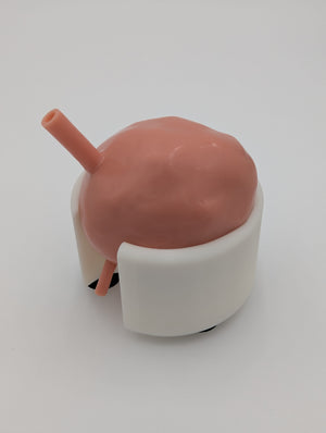 Bladder Trainer