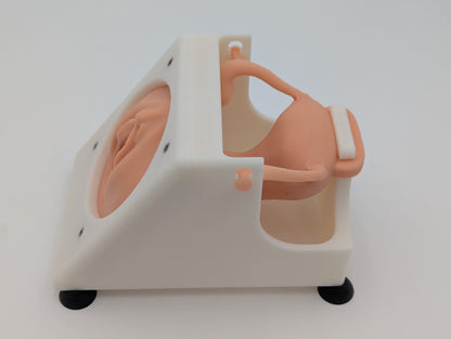 Hysteroscopy Trainer