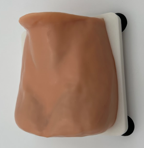 Thyroidectomy Training Model