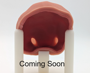 Coming soon: Ureteral Reimplantation