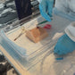 Emergency Airway/Cricothyrotomy Trainer